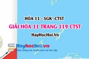 Giải Hóa 11 Chân trời sáng tạo trang 119
